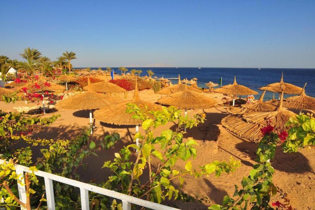 Carlton Luxury Villa