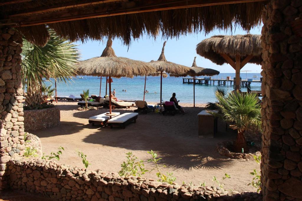 Sunshine Divers Club - Il Porto 