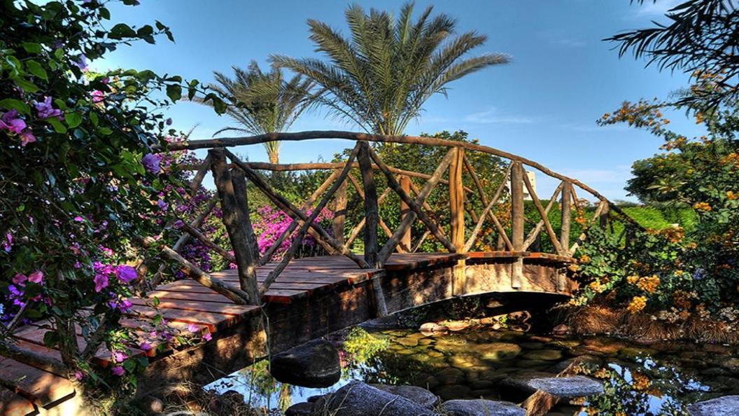 Aurora Oriental Resort Sharm El Sheikh 