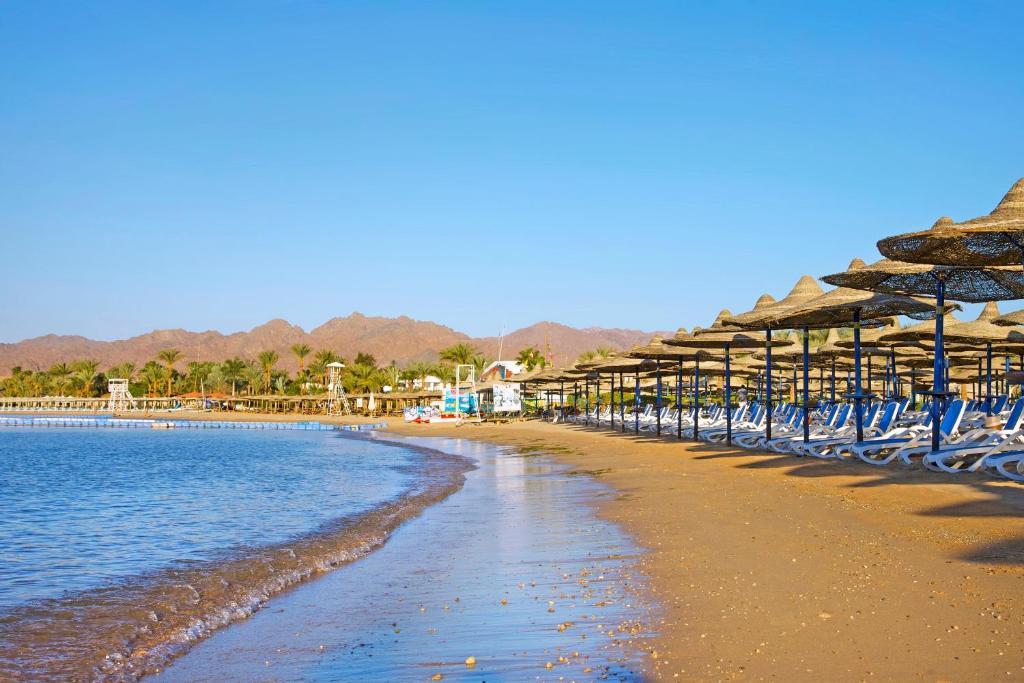 Шарм ель Шейх Gafy Resort Aqua Park 4*