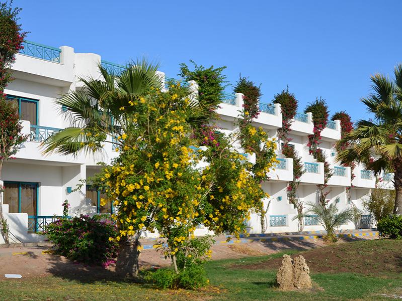 Шарм ель Шейх, Sharm Cliff 3* 